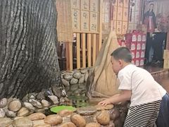 -小木屋朝鲜族特色菜