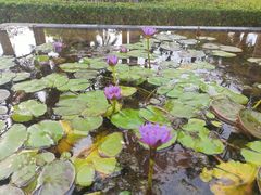 -三亚海棠湾万丽度假酒店