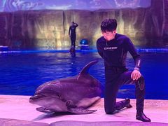 -华夏文旅海洋公园