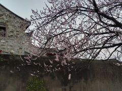 -前童古镇