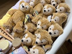 -小镇影院迪士尼小熊Duffy与他的朋友合影地