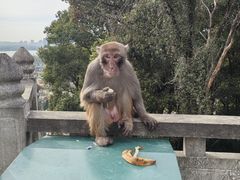 -苏州上方山国家森林公园