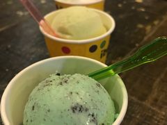 -莓园冰淇淋店
