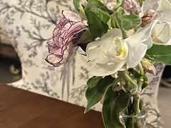 -LE MISSMORE餐酒吧(茉念西里店)