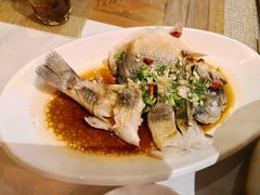 -看见远方·莫干遥远的山民宿