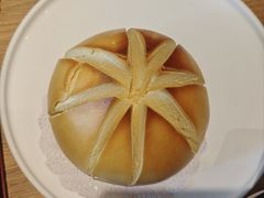 -连鹭海鲜·海肠捞饭·海胆饭(星海店)