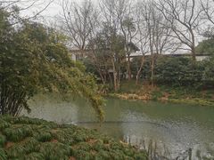 -西溪国家湿地公园