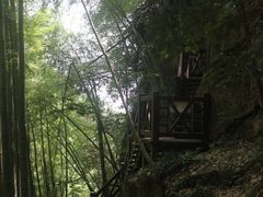 -莫干山风景区