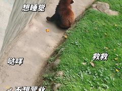 -西安秦岭野生动物园