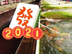 -南宫五洲植物乐园