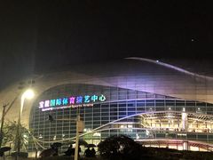 -宝能国际体育演艺中心