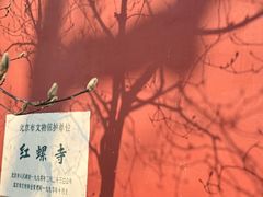 -红螺寺