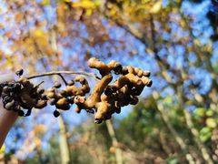 -金堂县云顶石城风景区