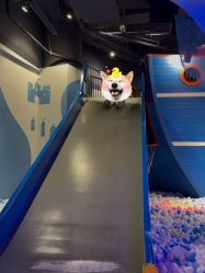 -幻贝家儿童乐园(苏州中心店)