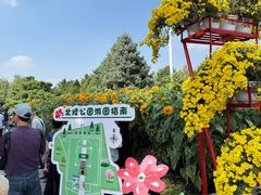 -北陵公园