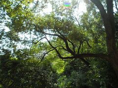 -大罗山风景区