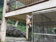 -广西龙虎山风景区