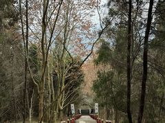 -窦圌山风景区
