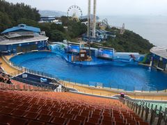 -香港海洋公园