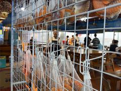 -蓝湾碧波·老字号·疍家非遗海上餐厅