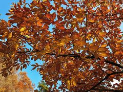 -终南山南五台景区