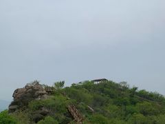 -大岭沟猕猴桃谷风景区