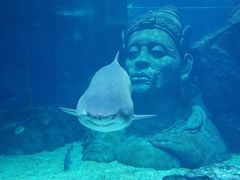 -暹罗海洋世界