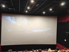 -中影大导演巨幕影城(深圳西乡店)