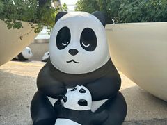 -星光大道