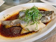 清蒸鲈鱼-赤湾大饭堂(山海逸居店)