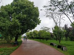 -盘龙城国家考古遗址公园