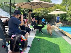 -汪说喵讲宠物乐园宠物酒店(红星美凯龙店)