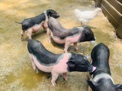 -昆山城市生态森林公园