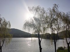 -长广溪湿地公园