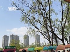 -长白岛森林公园