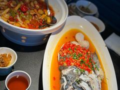 -凤凰湘语(浦东旗舰店)