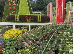 -南山植物园