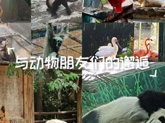 -南昌动物园