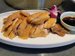 天然白斩鸡-碧丽宫大酒店(召稼楼店)