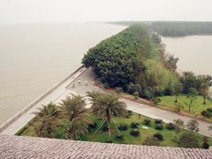 景点-大湾区中央湿地公园