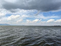 -捞渔河湿地公园