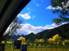 -孤山寨风景区