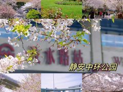 -静安雕塑公园