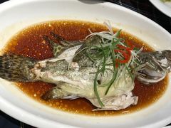 清蒸桂鱼-小龙酒家(桂平路店)