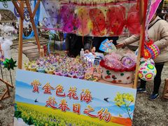 -三圣花乡旅游区