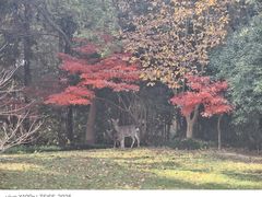 -上海怡沁园度假酒店