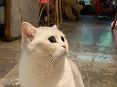 -咖法森林·咖啡  酒吧(天河店)