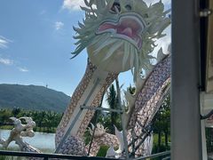 -亚龙湾国际玫瑰谷