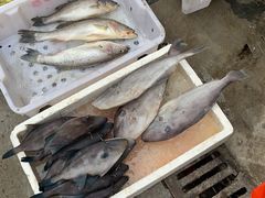 -芦潮港集贸市场