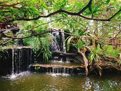 -绿光森林餐厅